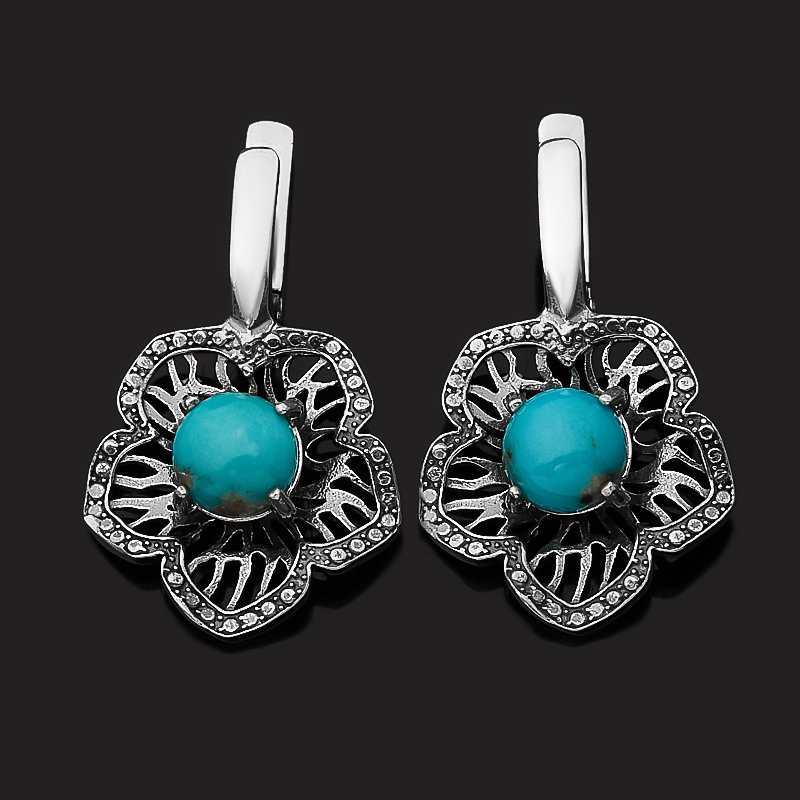 

Серьги бирюза (серебро 925 пр. оксидир.)