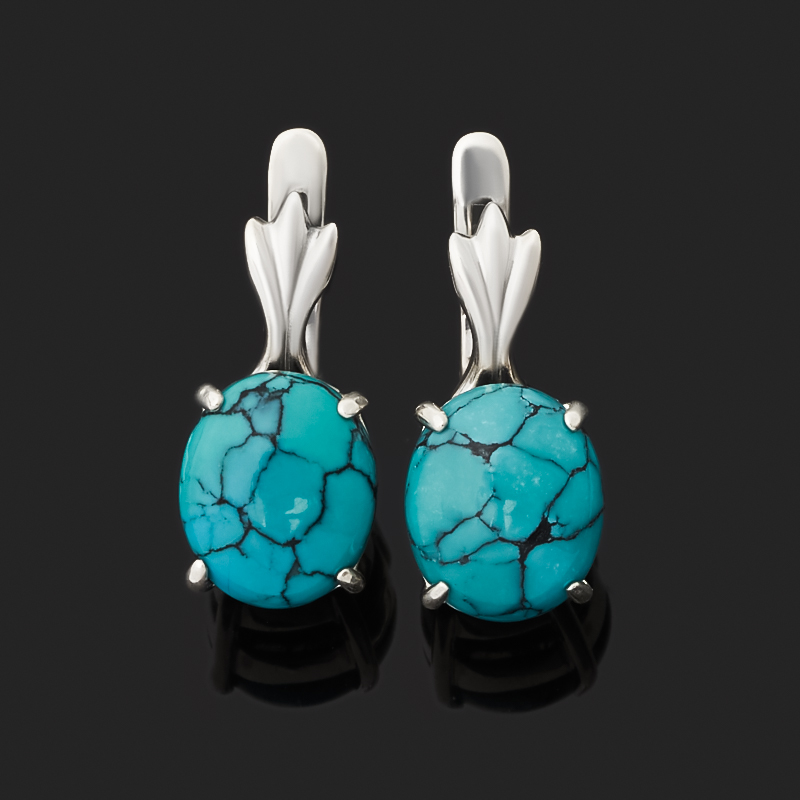 

Серьги бирюза (серебро 925 пр. оксидир.)