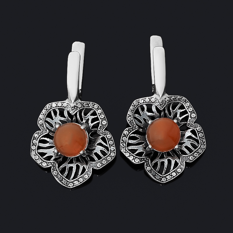 

Серьги сердолик (серебро 925 пр. оксидир.)