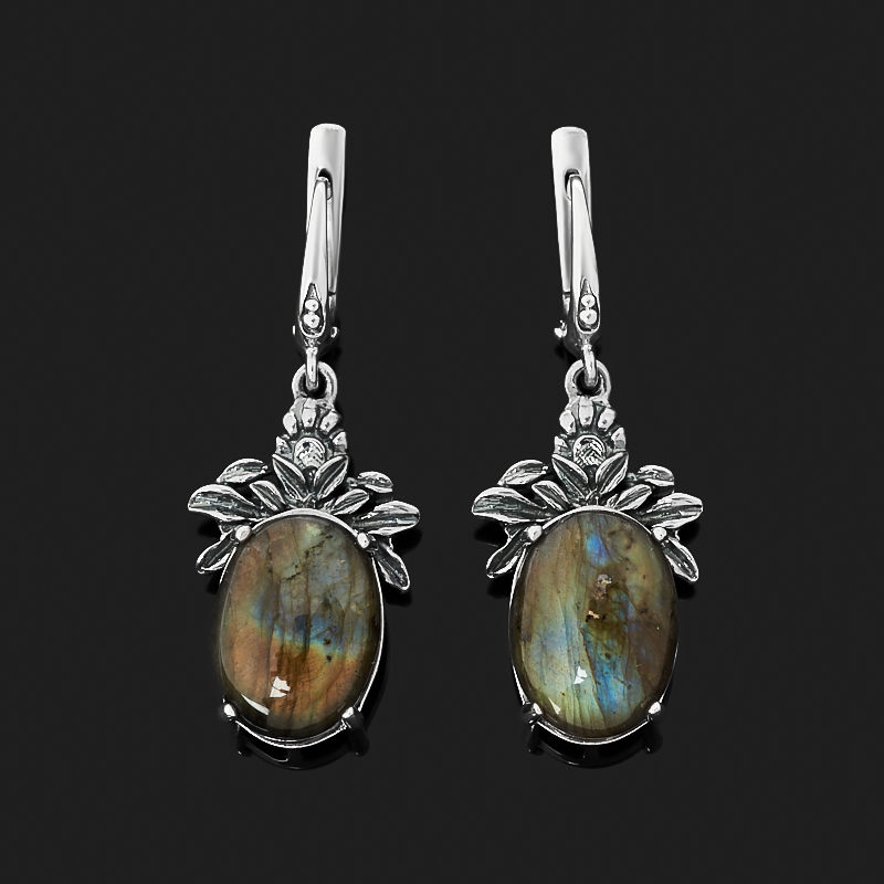 

Серьги лабрадор (серебро 925 пр.)