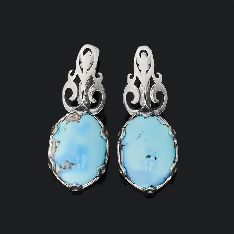 

Серьги бирюза (серебро 925 пр. оксидир.)
