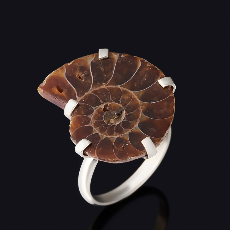 Кольцо окаменелость Мадагаскар (нейзильбер) размер 17,5