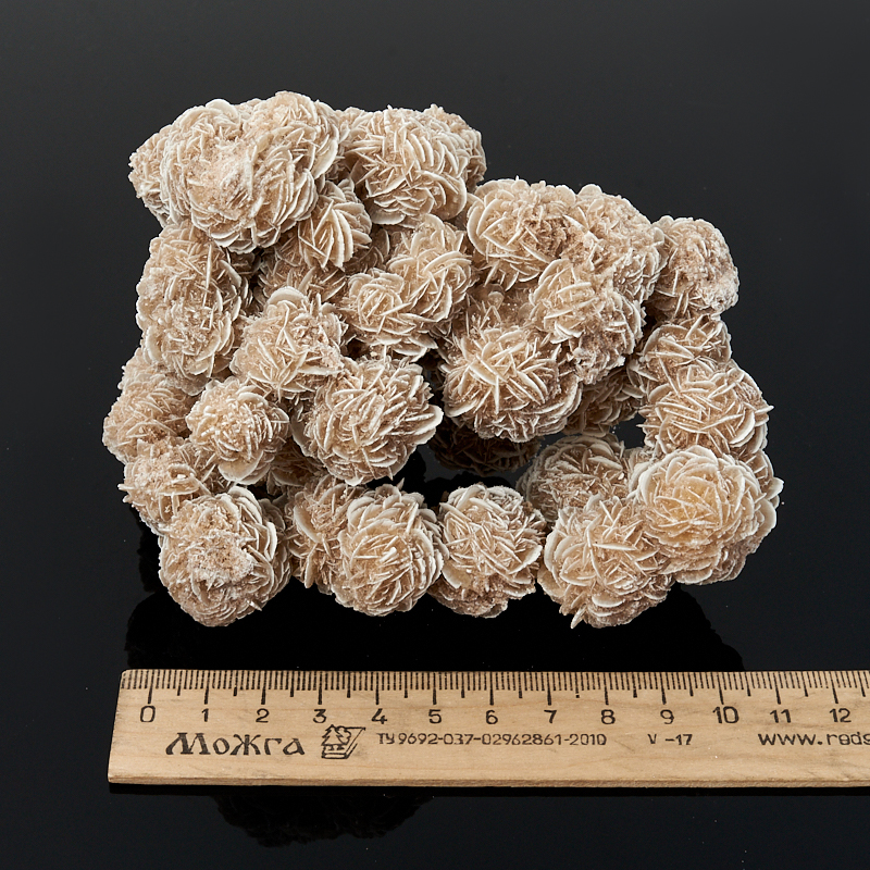 Образец пустынная роза Мексика L (12-16 см)