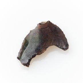 Образец опал благородный черный Эфиопия (1-1,5 см)
