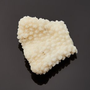 Образец коралл белый Китай XS (3-4 см)
