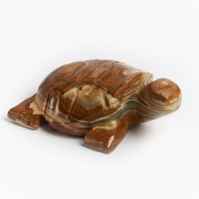Черепаха оникс мраморный Пакистан 10-11 см