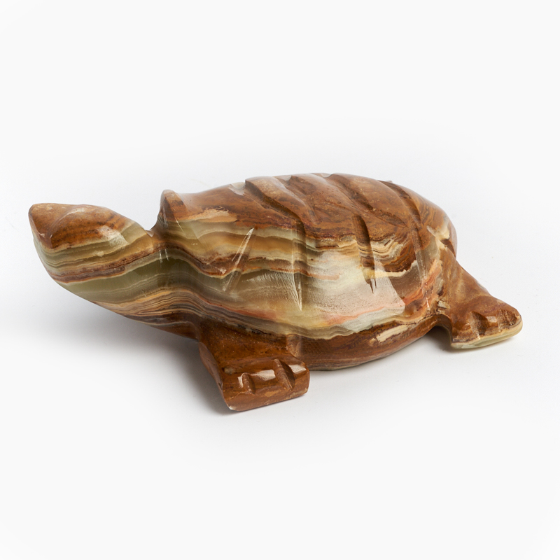 Черепаха оникс мраморный Пакистан 10-11 см
