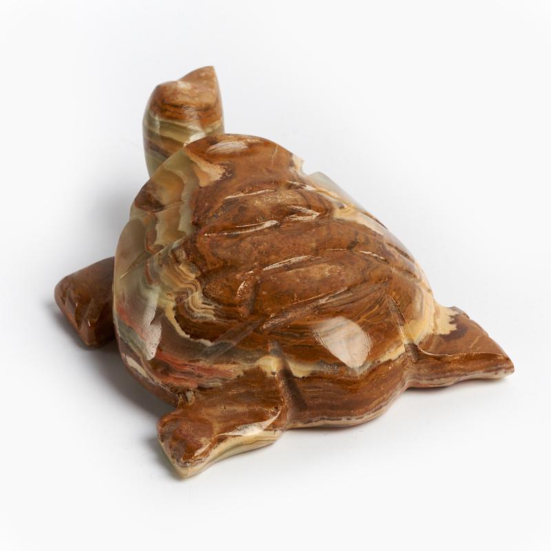 Черепаха оникс мраморный Пакистан 10-11 см