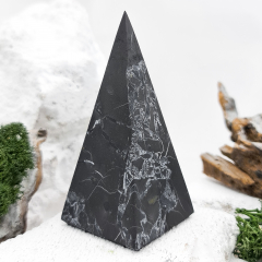 Пирамида Голода шунгит с кварцем Россия (Максовский карьер) 4 см