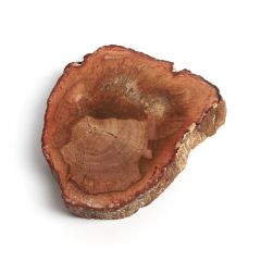 Окаменелость окаменелое дерево Мадагаскар S (4-7 см)