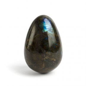 Яйцо лабрадор Мадагаскар 6-6,5 см