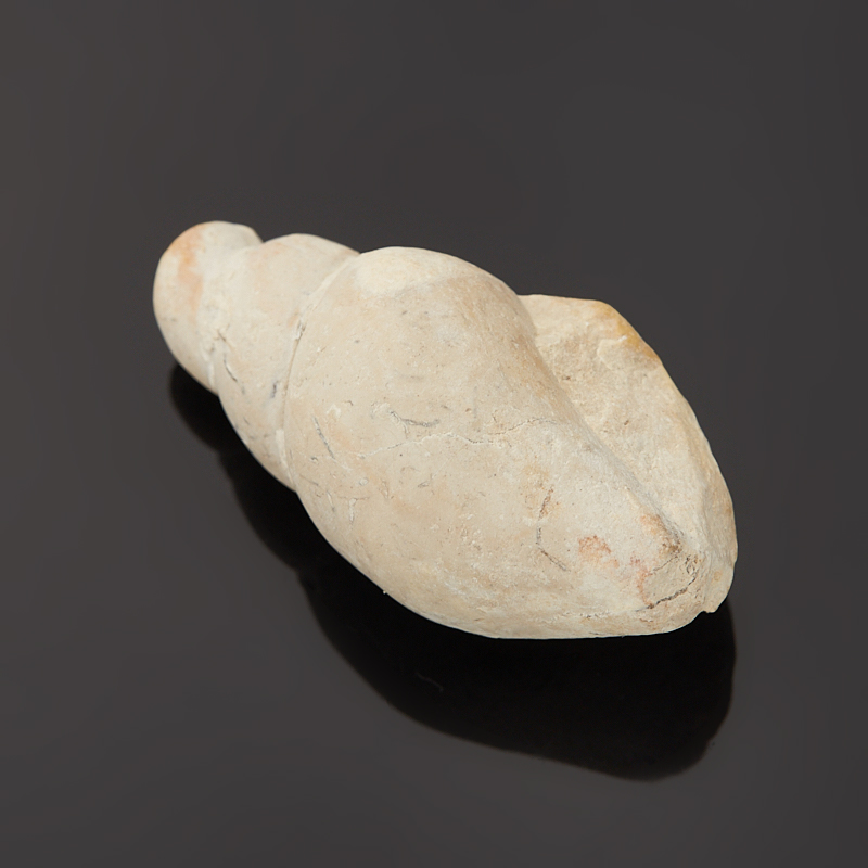 Гастропод Luithia Pedernelis США (3-4&nbsp;см)