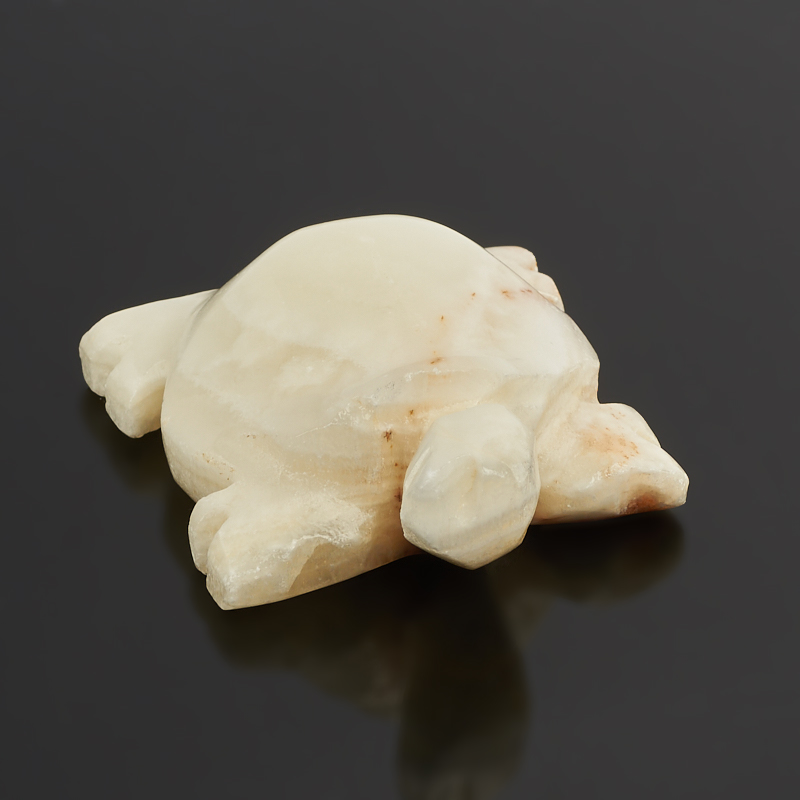 Черепаха оникс мраморный белый Пакистан 5-5,5 см