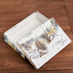 Подарочная упаковка (картон) универсальная (коробка) (микс) 290х190х75 мм