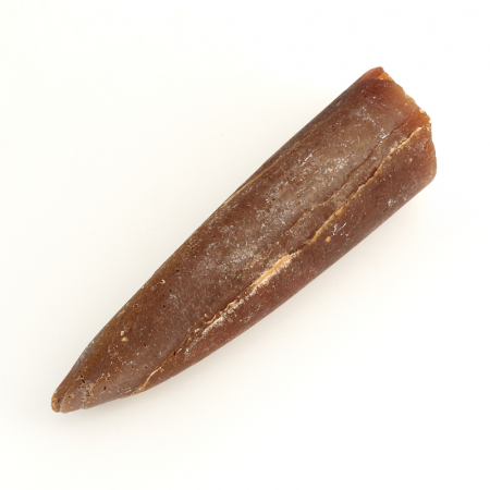 Купить натуральные окаменелости по приемлемой цене в интернет-магазине ...