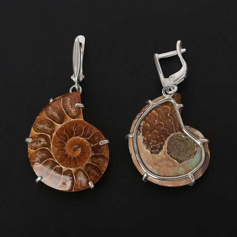 Серьги аммонит Мадагаскар (нейзильбер)