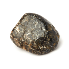 Галтовка агат черепаховый Ботсвана S (4-7 см) (1 шт)