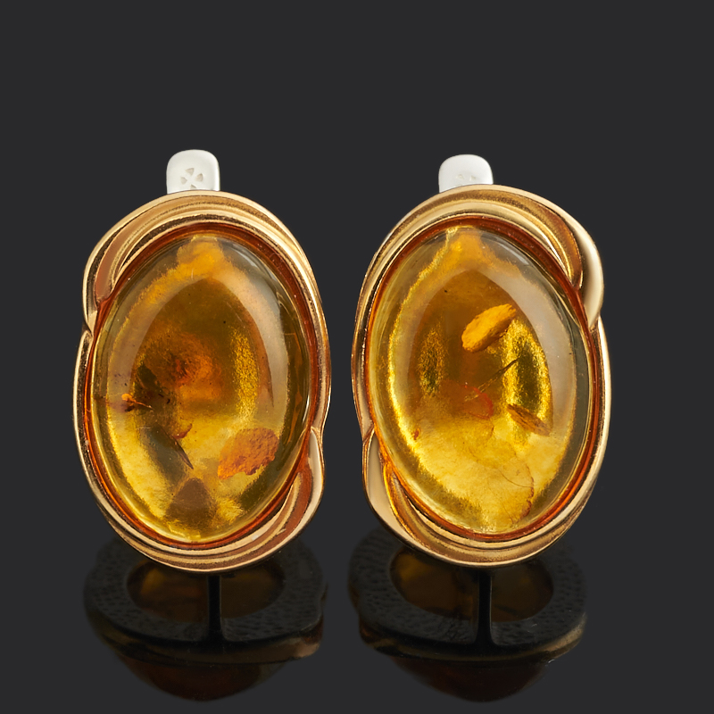 Серьги янтарь Россия (серебро 925 пр. позолота, посеребр.)