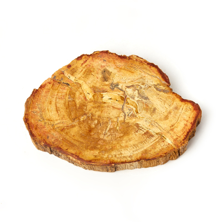 Купить натуральные окаменелости по приемлемой цене в интернет-магазине ...