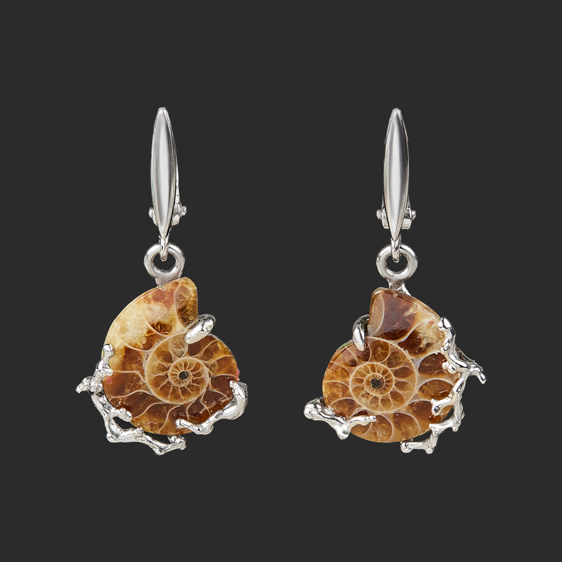 Серьги окаменелость Мадагаскар (нейзильбер)