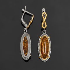 Серьги янтарь Россия (серебро 925 пр. позолота, родир. черн.)