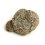 Образец пирит Россия 2-3 см (1 шт)