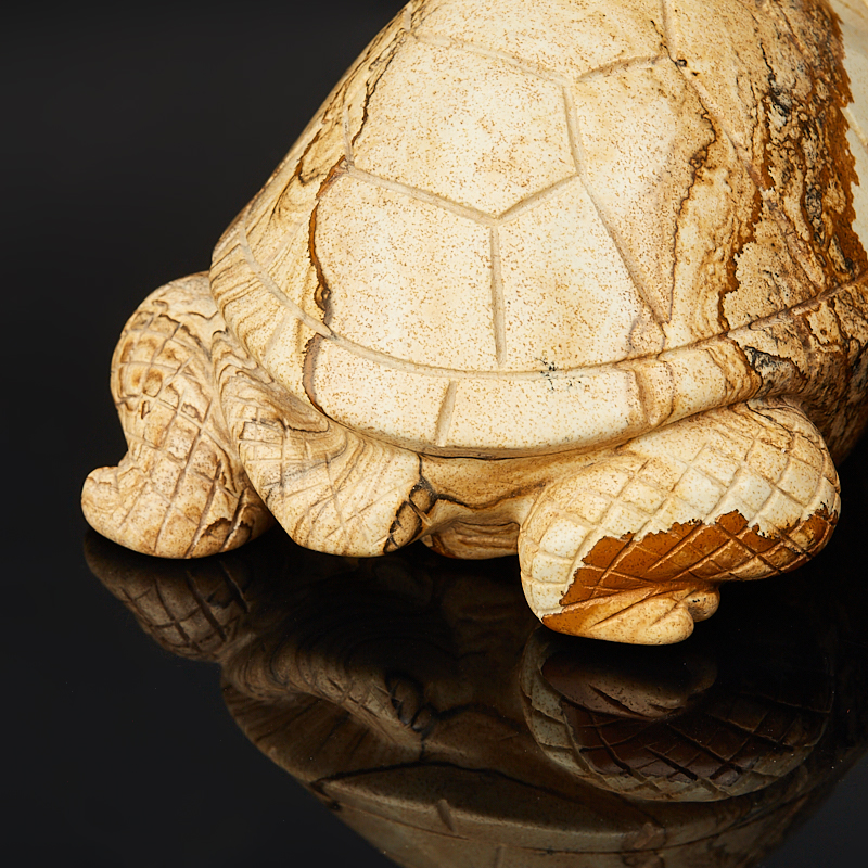 Черепаха яшма рисунчатая (песочная) Намибия 12 см