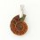 Кулон окаменелость Мадагаскар (биж. сплав) 3 см