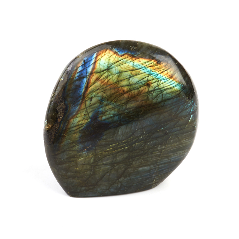 Стела лабрадор Мадагаскар 9-12 см