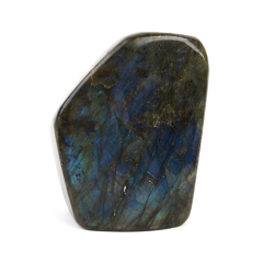 Стела лабрадор Мадагаскар 12-16 см