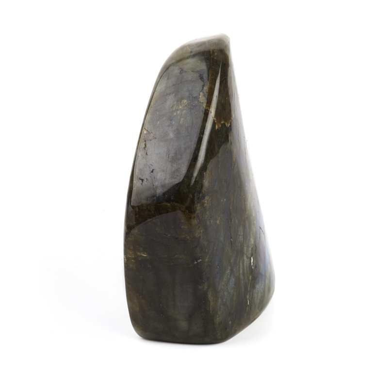 Стела лабрадор Мадагаскар 12-16 см