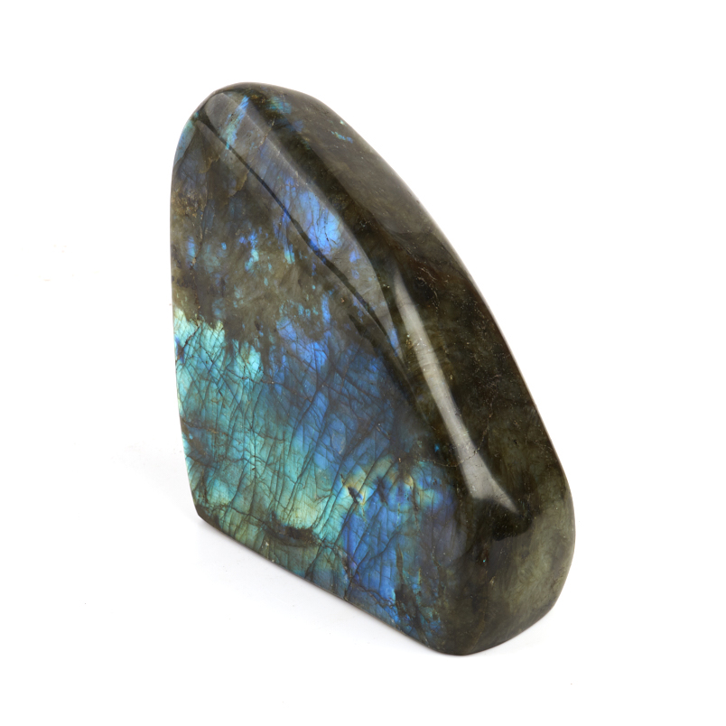 Стела лабрадор Мадагаскар 12-16 см