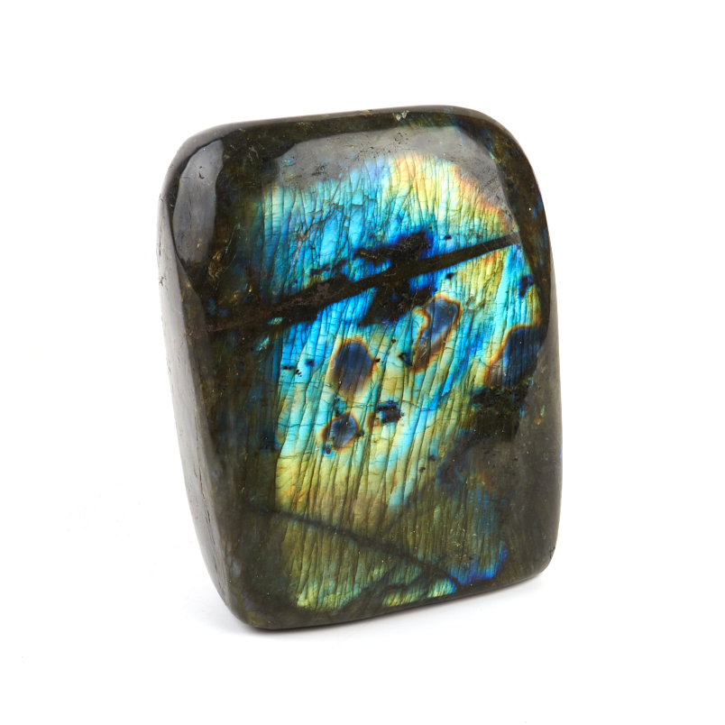 Стела лабрадор Мадагаскар 12-16 см