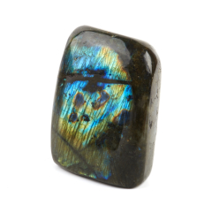 Стела лабрадор Мадагаскар 12-16 см