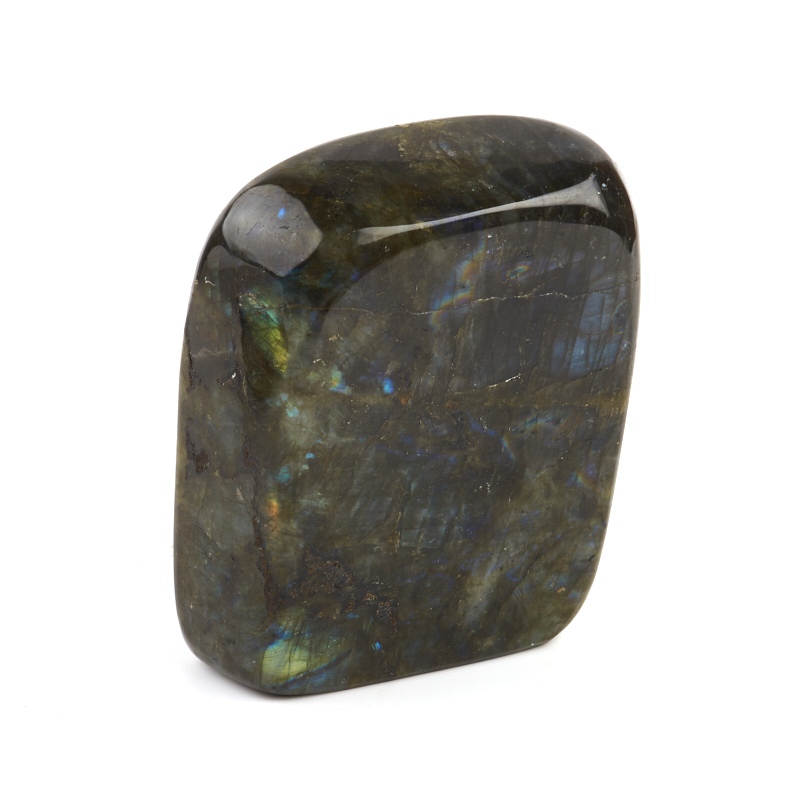 Стела лабрадор Мадагаскар 12-16 см