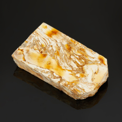 Окаменелость окаменелое дерево Словакия (12-16 см)