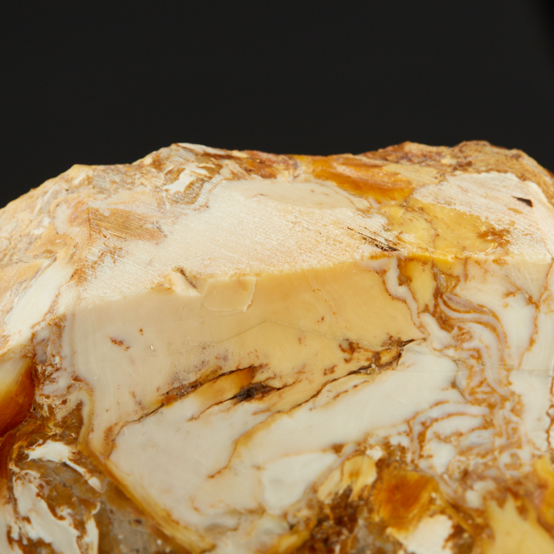 Окаменелость окаменелое дерево Словакия (12-16&nbsp;см)