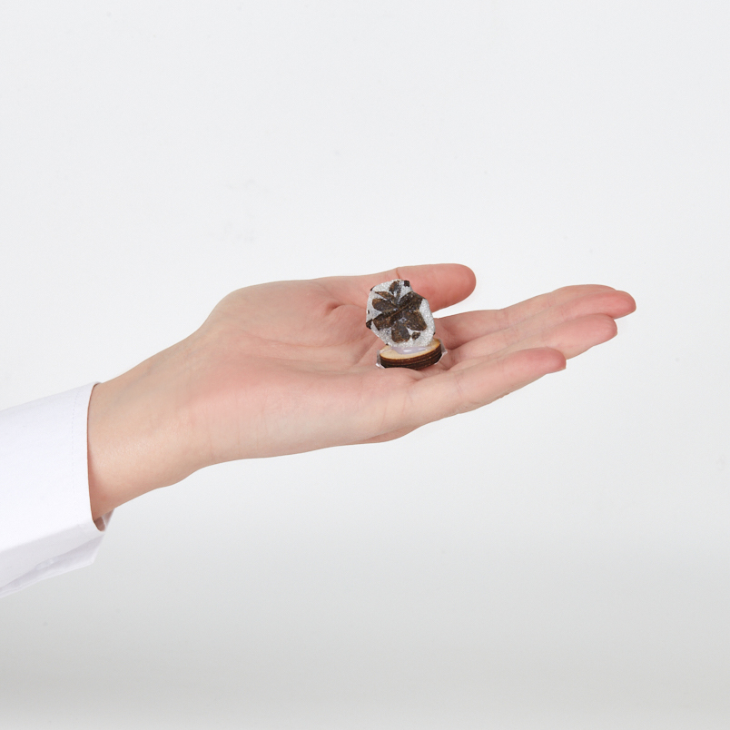 Образец ставролит Россия 2-3&nbsp;см (на подставке)