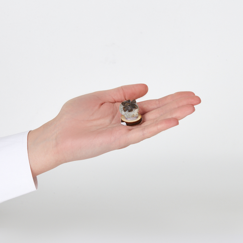 Образец ставролит Россия 2-3&nbsp;см (на подставке)