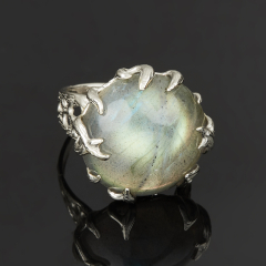 Кольцо лабрадор Мадагаскар (нейзильбер) размер 17,5