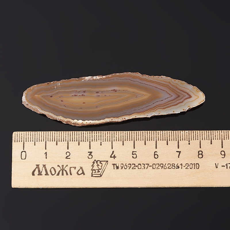 Срез агат коричневый Бразилия 7-9 см (1 шт)