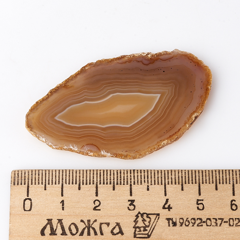 Срез агат коричневый Бразилия 5-7&nbsp;см (1&nbsp;шт)