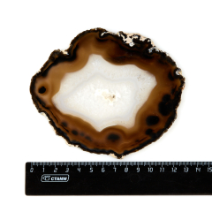 Срез агат коричневый Бразилия 12-16 см