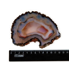 Срез агат серый Бразилия 12-16 см