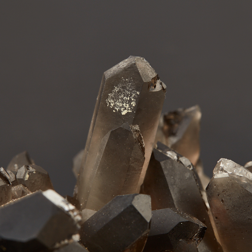 Друза раухтопаз Бразилия 16-20&nbsp;см