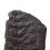 Окаменелость отпечаток хвоща Asterophyllites equisetiformis Франция 7-9&nbsp;см