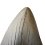 Зуб акулы Carcharocles megalodon США 9-12&nbsp;см