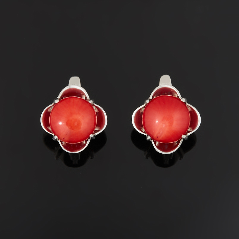 Серьги коралл красный Индонезия (серебро 925 пр.)