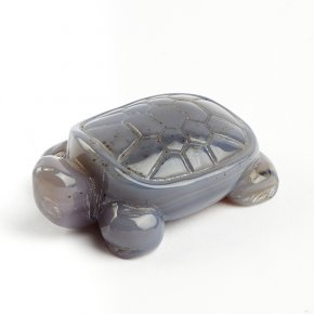 Черепаха агат серый Ботсвана 4,5-5 см