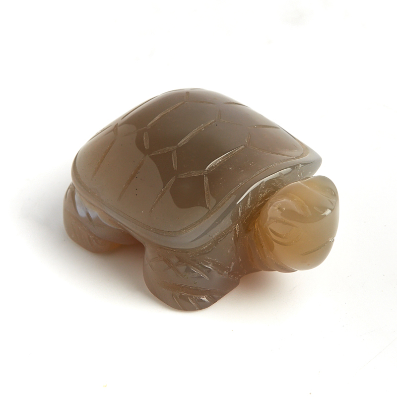 Черепаха агат серый Ботсвана 4,5-5 см